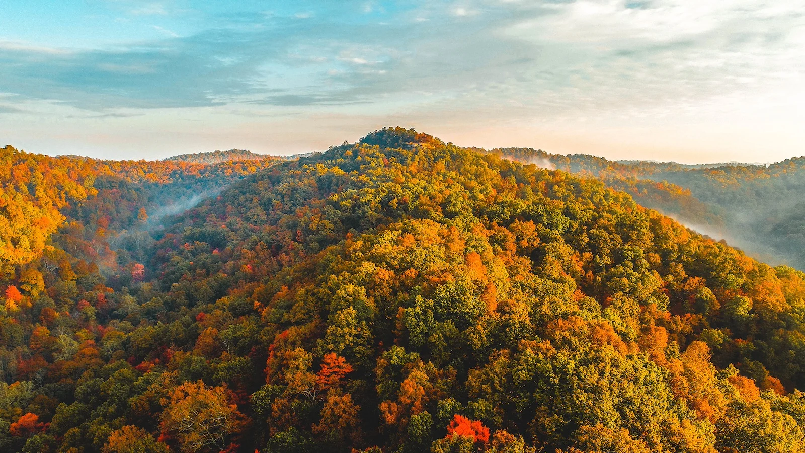 Aerial view of Daniel Boone National Forest in peak fall color