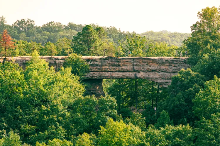 Natural Bridge sandstone arch