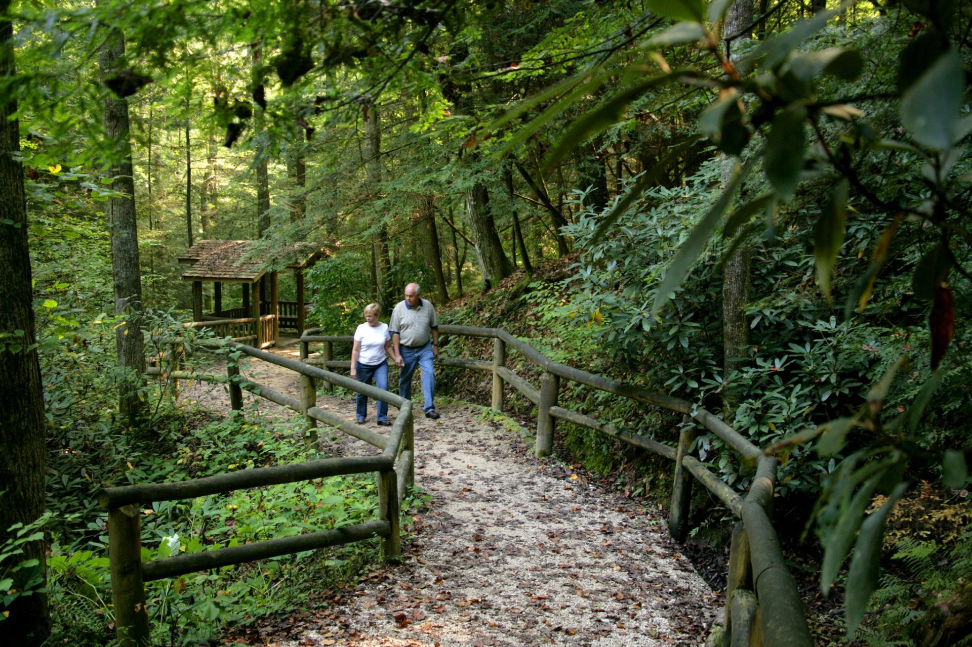 Couple walking a wooded trail at Natural Bridge State Resort Park