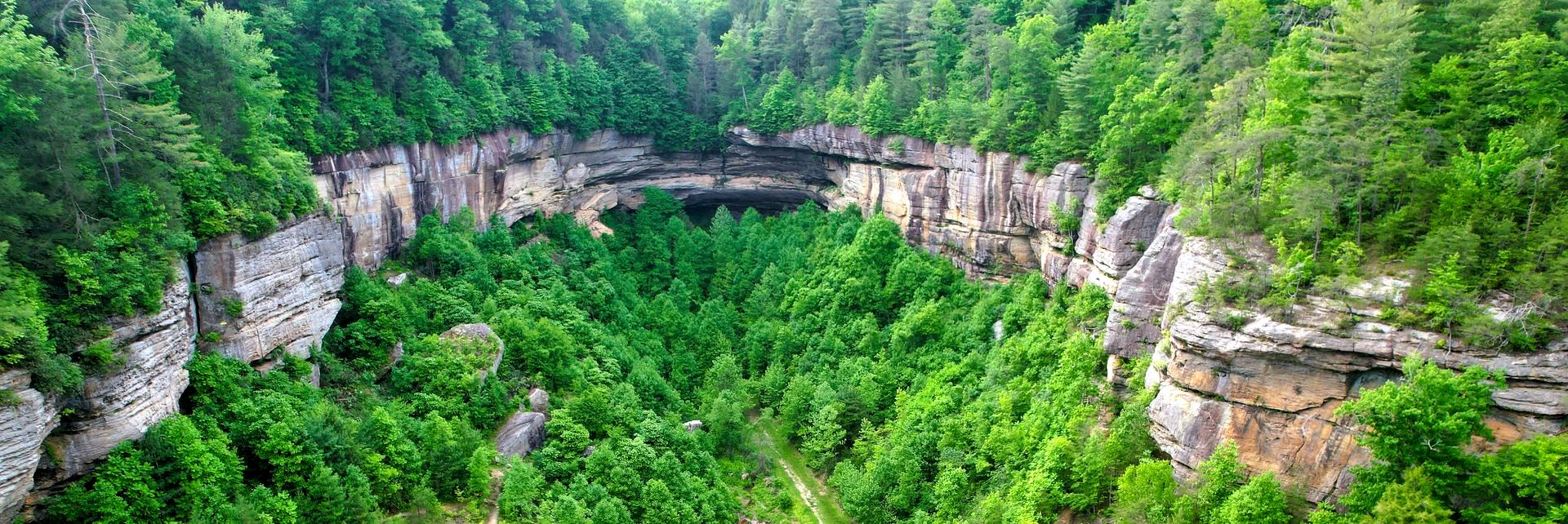 Panoramic view of Red River Gorge cliffs and forest canopy