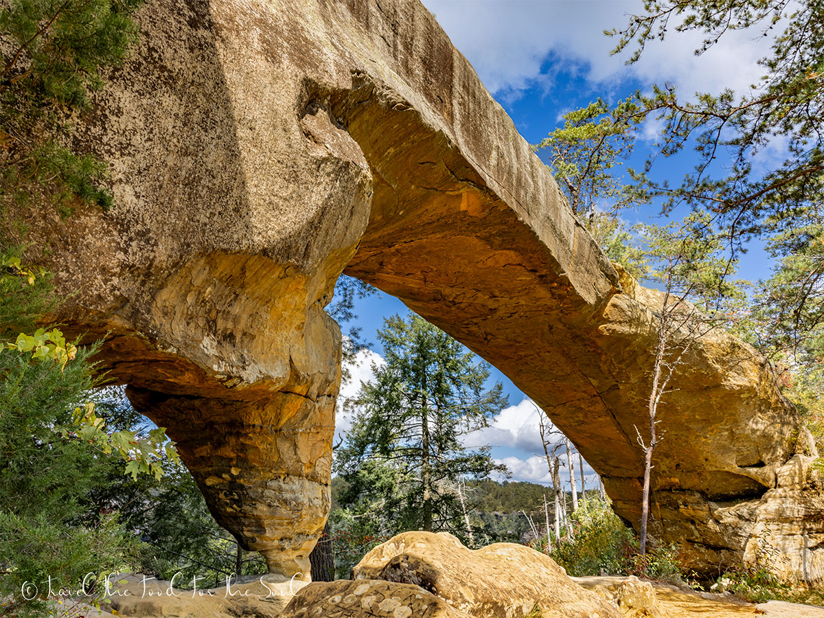 Sky Bridge sandstone arch under blue Kentucky sky