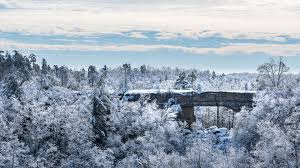 Snow-covered forest and bridge at Red River Gorge