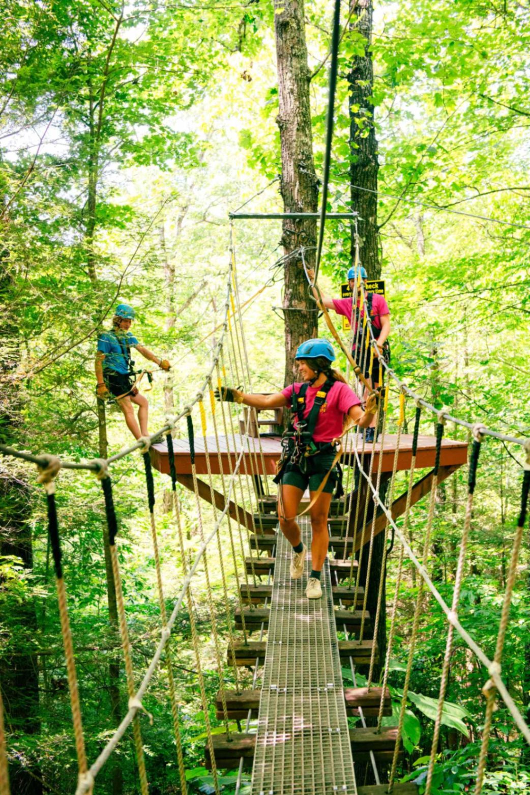 Aerial ropes course bridge in the trees at Red River Gorge